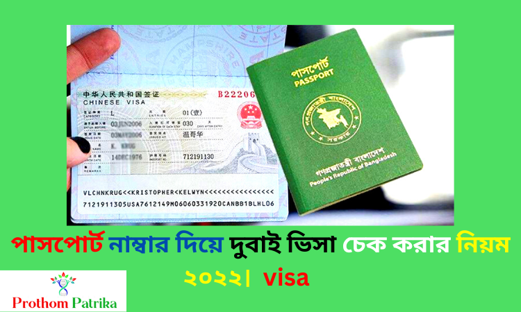 দুবাই ভিসা চেক করার নিয়ম
