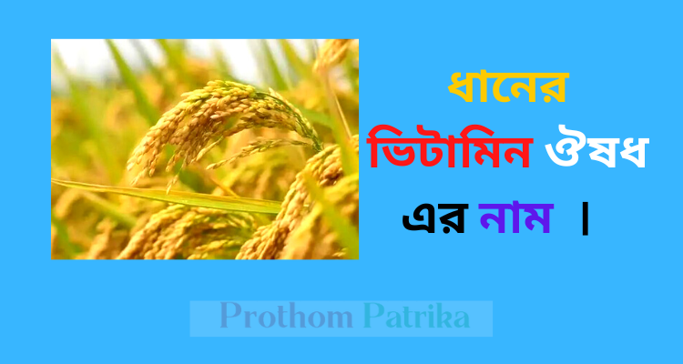 ধানের ভিটামিন ঔষধ