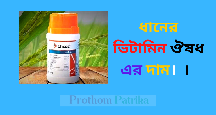 ধানের ভিটামিন ঔষধ