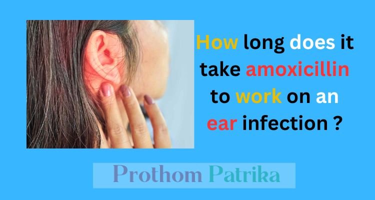 How long does it take amoxicillin to work on an ear infection