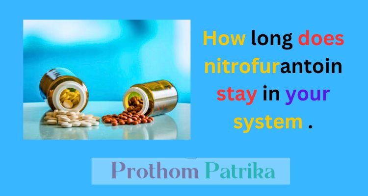 How long does nitrofurantoin stay in your system