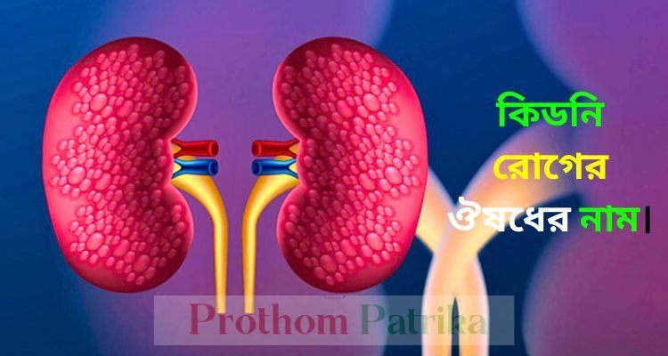 কিডনি রোগের ঔষধের নাম